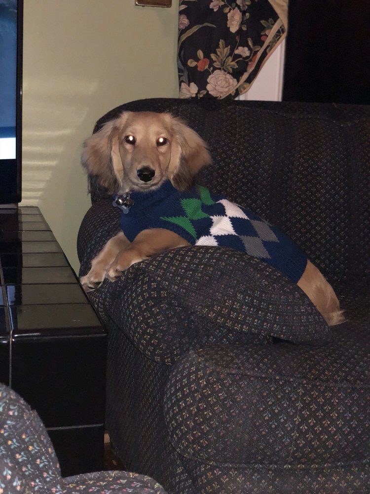 BARK AND MEOW 10 Photos & 15 Reviews Pet Stores 9A S Broadway