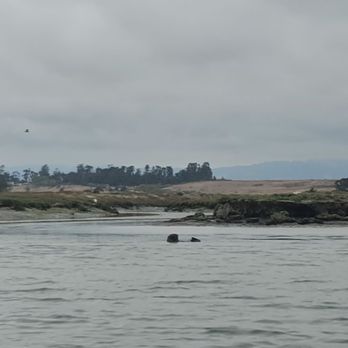 Monterey Bay Kayaks - solo otter - Tours Near Me - Moss Landing, California Monterey Bay Kayaks - solo otter - Tours Near Me - Moss Landing, California