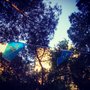 Photo of Parque Félix