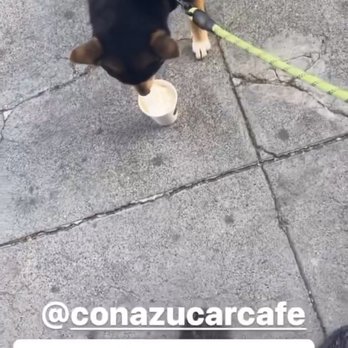 Con Azucar Cafe - Puppyccino - Coffee & Tea Near Me - San Jose, California Con Azucar Cafe - Puppyccino - Coffee & Tea Near Me - San Jose, California