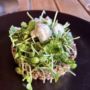 Black Sage - Quinoa Salad with chili orange marinade olives, local goat cheese, pistachios and local sunflower sprouts and an orange vinaigrette - Bars Near Me - Virgin, Utah Black Sage - Quinoa Salad with chili orange marinade olives, local goat cheese, pistachios and local sunflower sprouts and an orange vinaigrette - Bars Near Me - Virgin, Utah