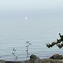 Photo of Point San Bruno Park