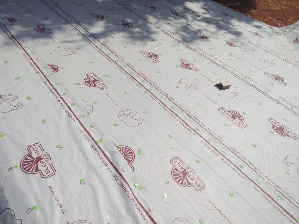 Slide of Carsyn Strong Repairs