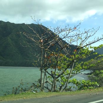 Kahana Bay Beach - Beaches Near Me - Kahana, Hawaii Kahana Bay Beach - Beaches Near Me - Kahana, Hawaii