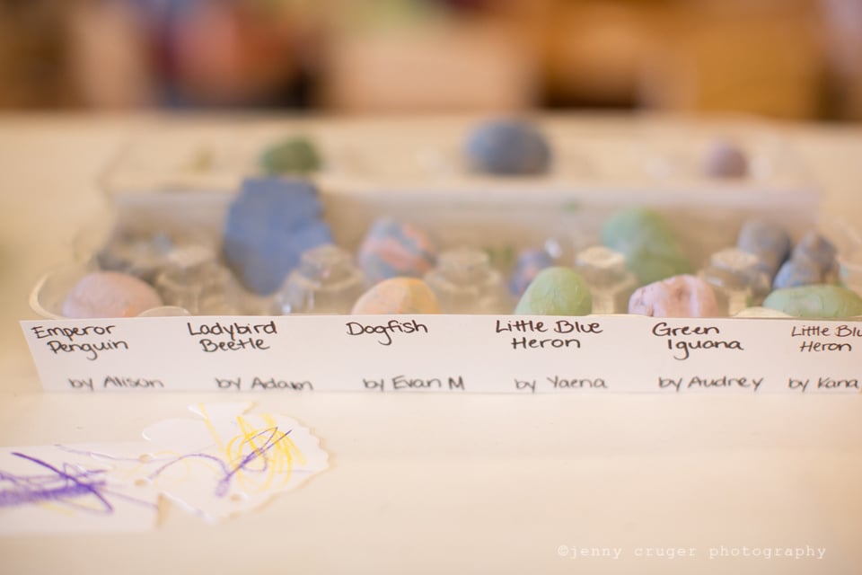 Spring Hollow Early Learning Center - childcare center in Franklin, TN