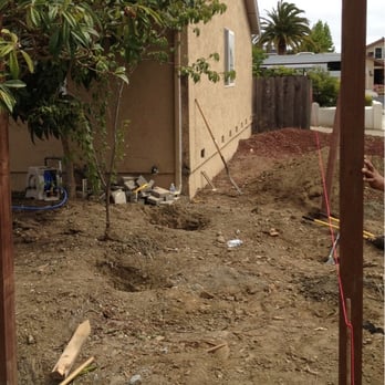 Castillo Landscaping & Tree Services - Before pics - Landscaping Near Me - Redwood City, California Castillo Landscaping & Tree Services - Before pics - Landscaping Near Me - Redwood City, California