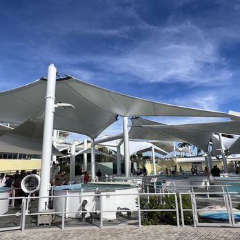 Loggerhead Marinelife Center - Community Service/Non-Profit Near Me - Juno Beach, Florida
