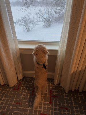 Inn by the Sea by null