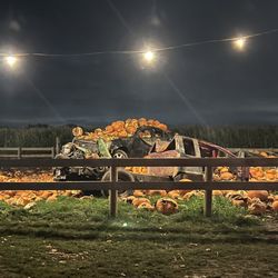 Richardson Farms - Pumpkin Wreckage