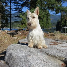 Ally guarding the property!