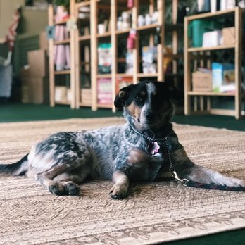 Haggerty Dog Training - Dog Training in Midland Park, NJ - Pet Training Near Me - Wellington, Florida Haggerty Dog Training - Dog Training in Midland Park, NJ - Pet Training Near Me - Wellington, Florida