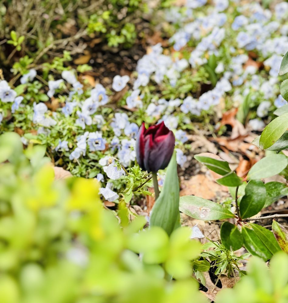 Atlanta History Center - wedding in Atlanta, GA