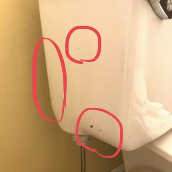 Annie At  Your Service - Same bathroom with easy to wipe off blue finger bath paint on my toilet - Home Cleaning Near Me