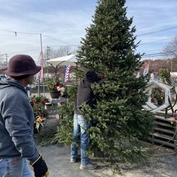 GardenWorx LI - Christmas tree..
