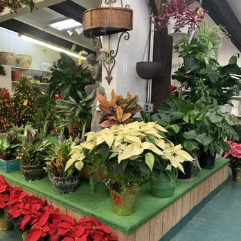 Valhalla Garden Center - Nurseries & Gardening Near Me - Valhalla, New York Valhalla Garden Center - Nurseries & Gardening Near Me - Valhalla, New York