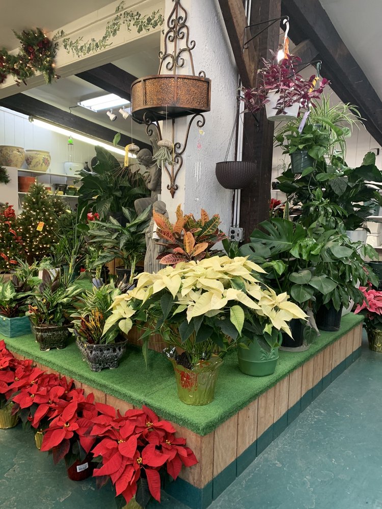 VALHALLA GARDEN CENTER 601 Columbus Ave, Valhalla, NY Yelp