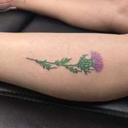 Ink Works Tattoo - Scottish Thistle by Sandy