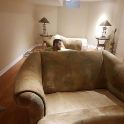 Bayview Steam Cleaning - Upholstery Steam Cleaning