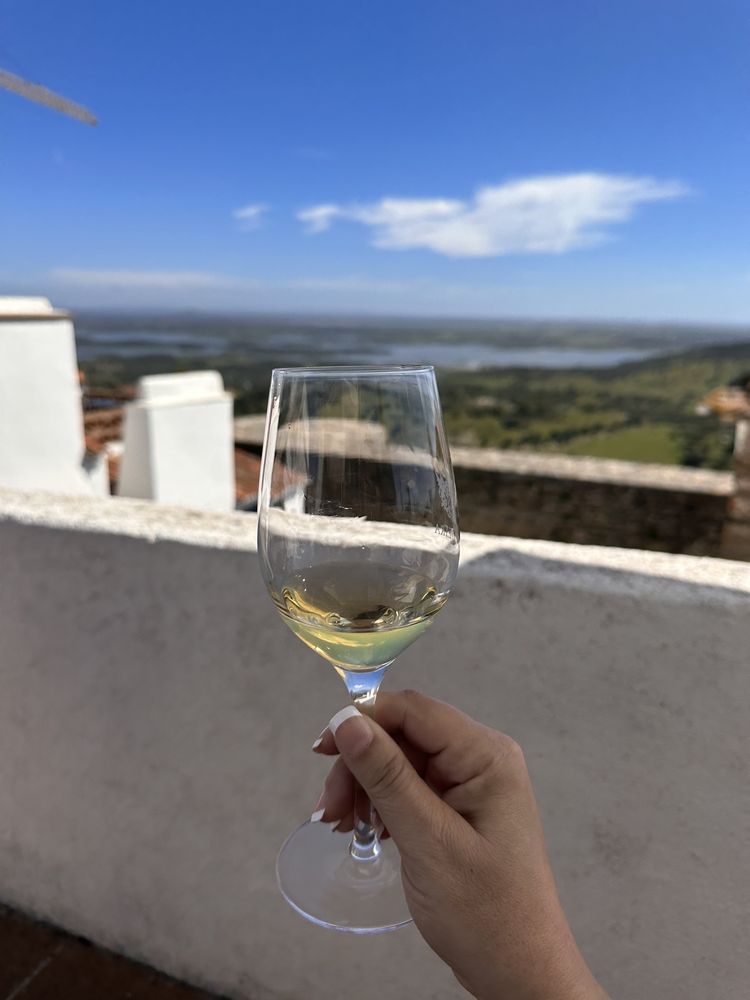 ERVIDEIRA WINE TERRACE Largo Dom Nuno Álvares Pereira 5, Évora