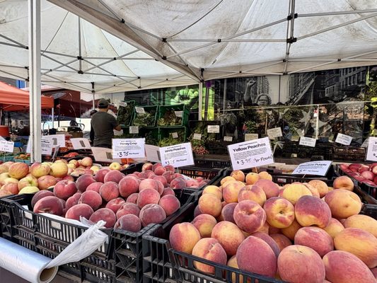 洋楽 farmers market UTC Farmers Market