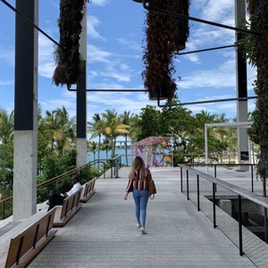 Maurice A Ferré Park on Yelp