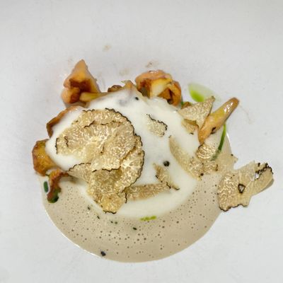 Hotel Copernicus by null