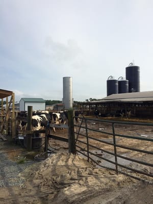 Hopkins Farm Creamery by null