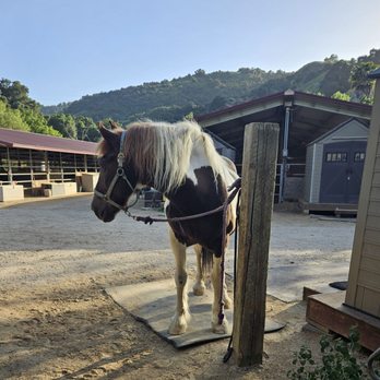 Schabarum Equestrian Center - Horse Boarding Near Me - Rowland Heights, California