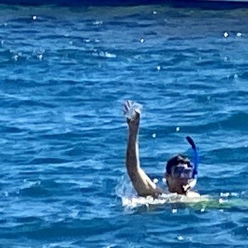 Diamond Head Cruises - Sea Turtle Snorkeling - Snorkeling Near Me - Honolulu, Hawaii