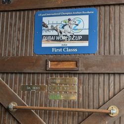 Kentucky Horse Park - FIRST CLASS  (US bred Arabian champion)