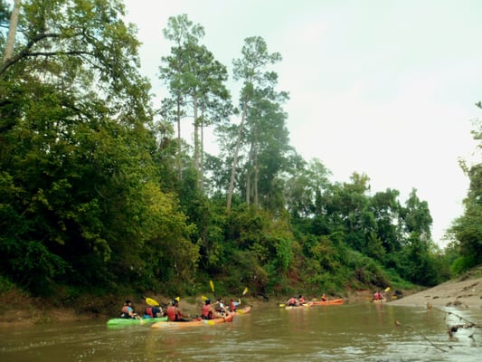 Bayou City Adventures by null