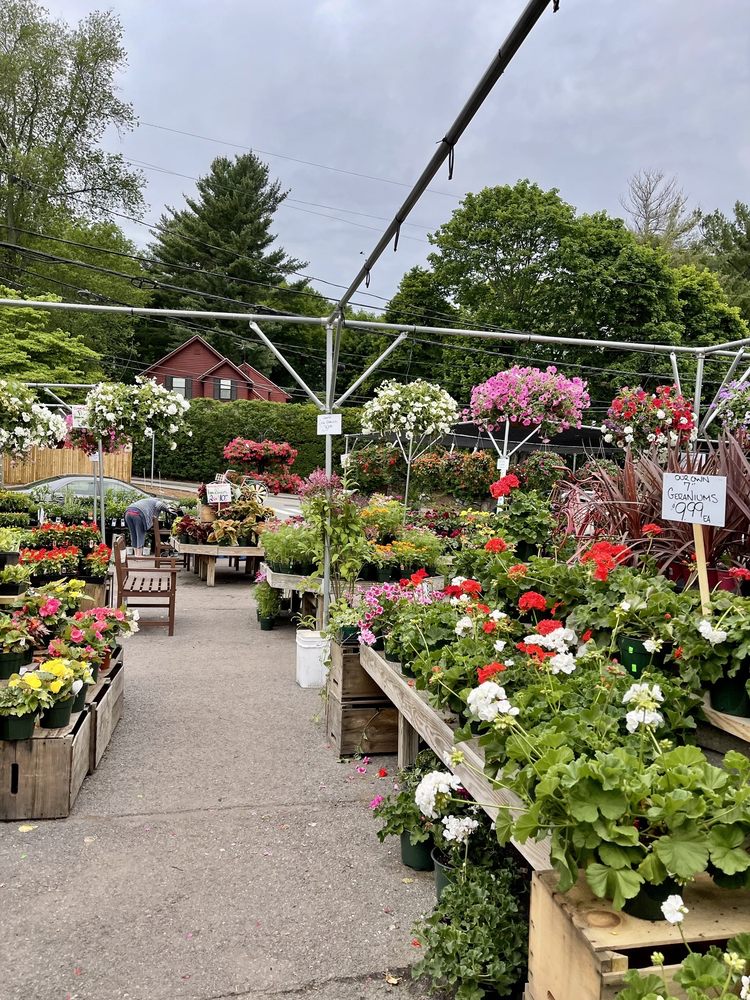 WILSON FARM 393 Photos & 356 Reviews 10 Pleasant St, Lexington, MA