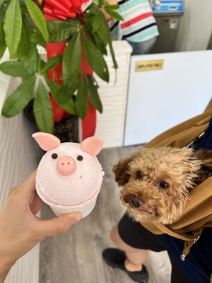 La Mira Gelateria by null