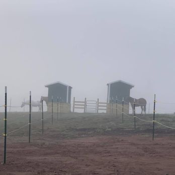 Covenant Stables - Horseback Riding Near Me - Osceola, Wisconsin