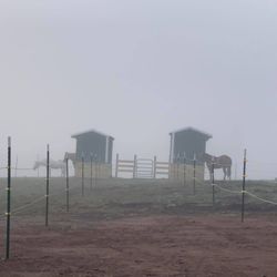 Covenant Stables