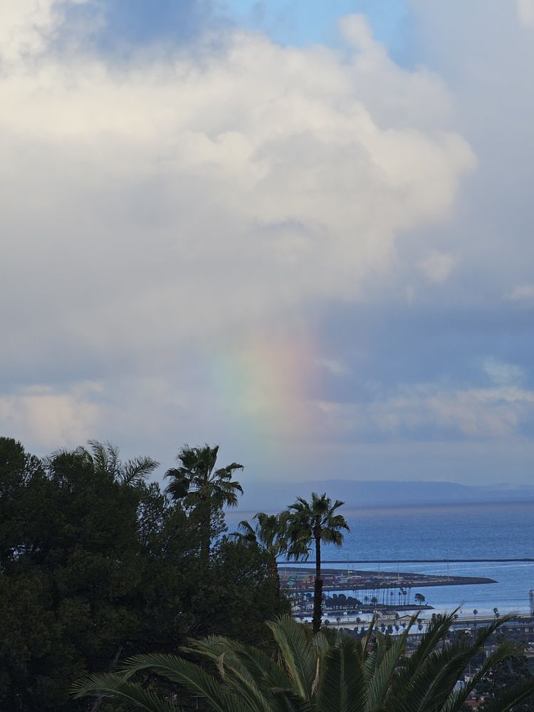 MIRALESTE CANYON ESTATES Updated October 2024 21 Photos & 25