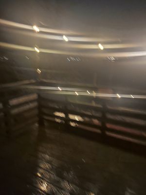 Parsnip Lake House by null