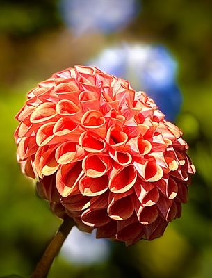 Chicago Botanic Garden by null
