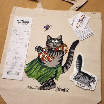 CRAZY SHIRTS - Updated February 2026 - 12 Photos - 2424 Kalakaua