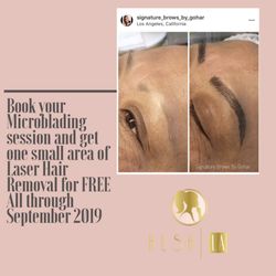 Hush LA Medspa - Book your microblading session and receive one small area of laser hair removal for free