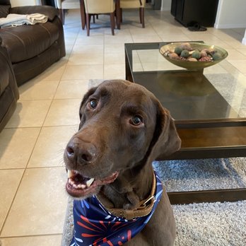 PetSmart - Pet Stores Near Me - Round Rock, Texas