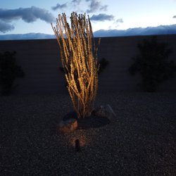 Luxury Landscaping & Design