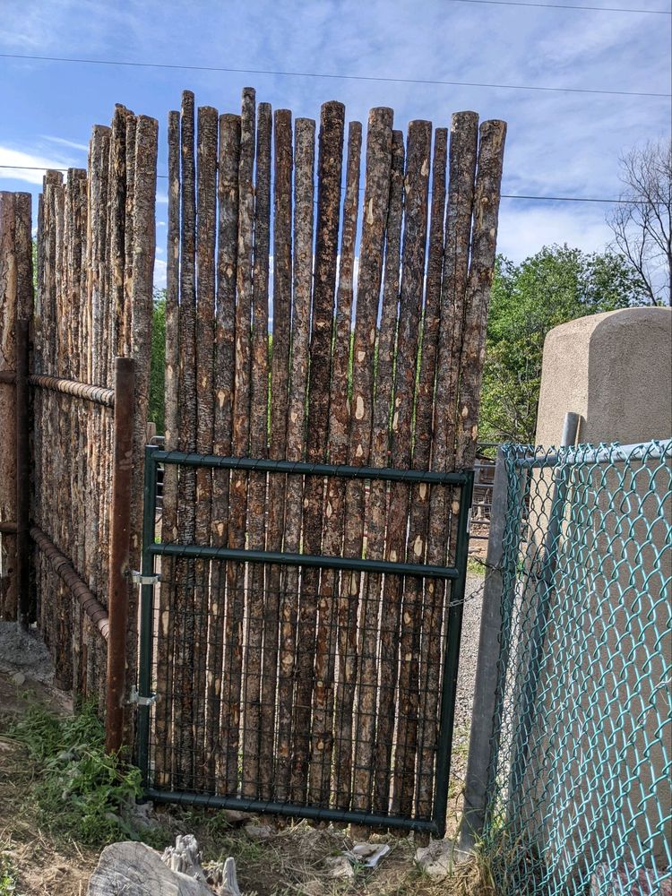 Freddy's Home Landscaping and Fence Services - tree service in Albuquerque, NM