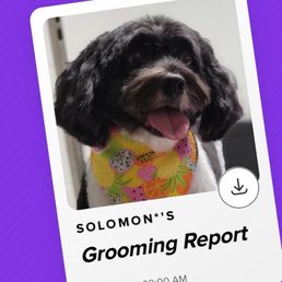 Solomon