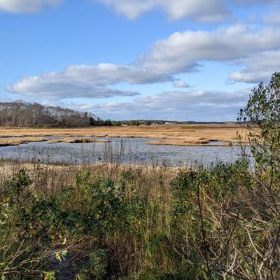 Mass Audubon Wellfleet Bay Wildlife Sanctuary by null