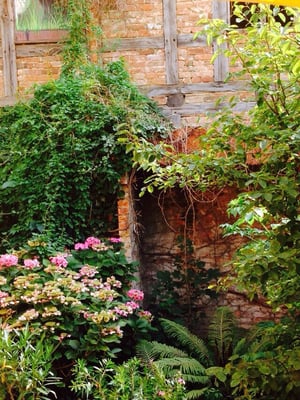 Cafe Küpper by null