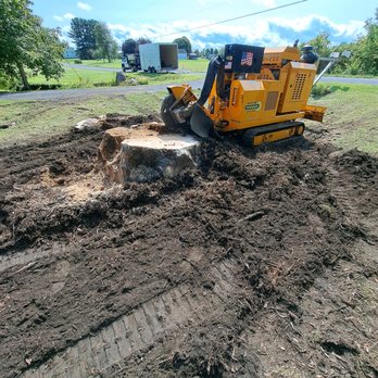 Grind Time - Tree Services Near Me - Johnstown, New York Grind Time - Tree Services Near Me - Johnstown, New York