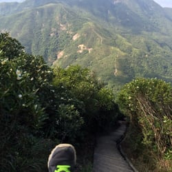 衛奕信徑第一段 - See that path in the distance? That's the trail!