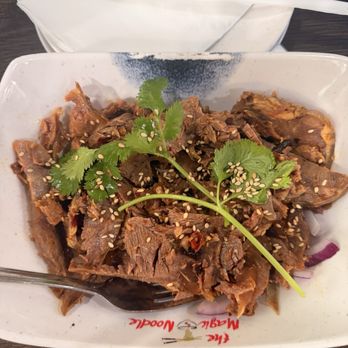 The Magic Noodle - B1. Spicy Beef Shank - Chinese Near Me - Las Vegas, Nevada