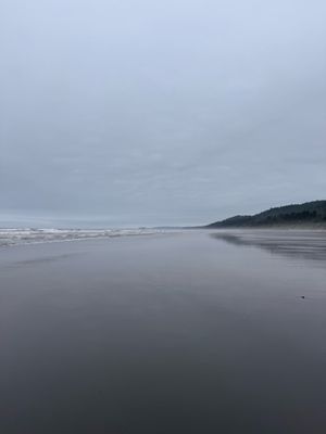 Kalaloch Campground by null